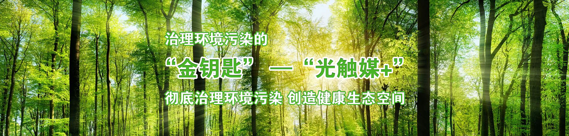 跨越8000公里 我要回家鄉(xiāng)創(chuàng)業(yè)